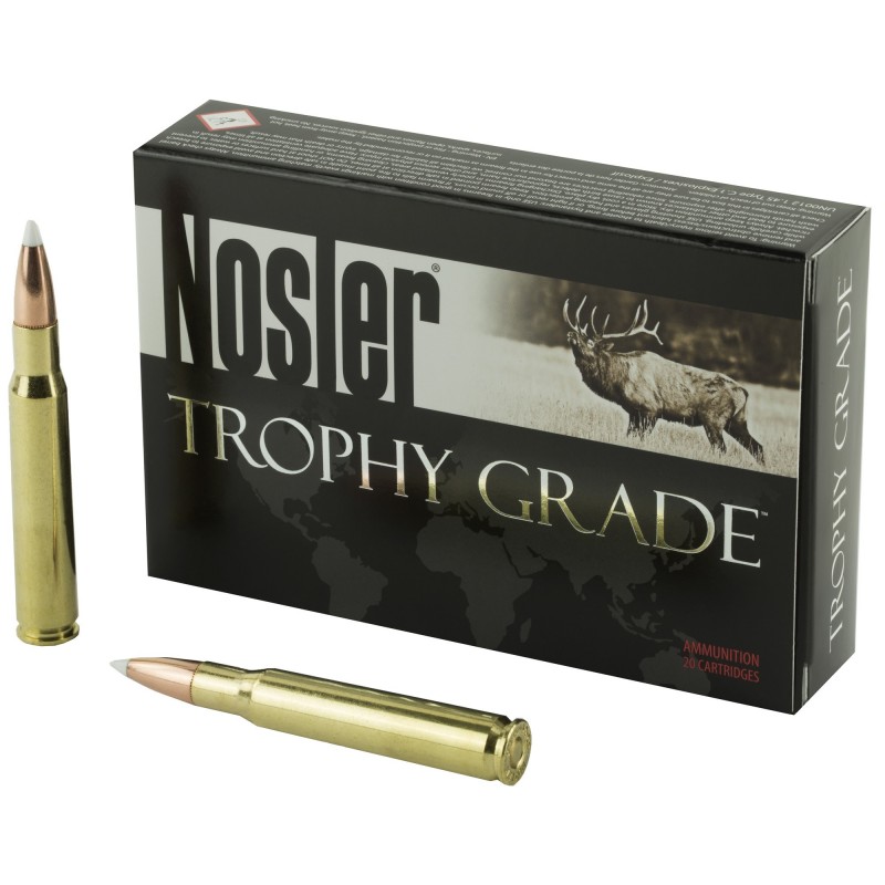 NOSLER 30-06 165GR AB 20/200 NOSLER 30-06 165GR AB 20/200