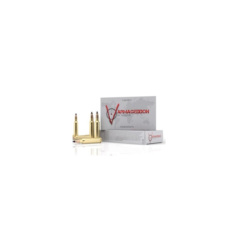 NOSLER VG 223REM 55GR FB TIP 20/400