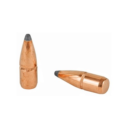 HRNDY 22CAL .224 55GR SP W/C 100CT