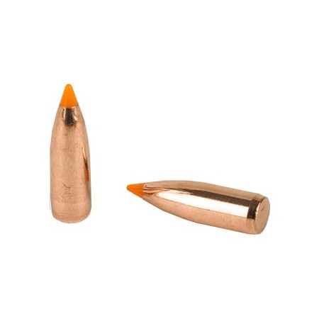 NOSLER 22 CAL 55GR 100CT