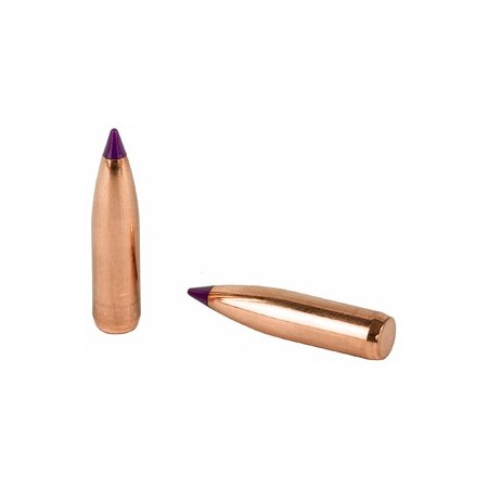 NOSLER 6MM 95GR BALLISTIC TIP 50CT