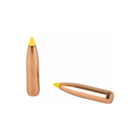 NOSLER 270 CAL 150GR 50CT