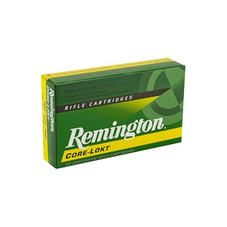 REM 300WIN 180GR PSP CL 20/200