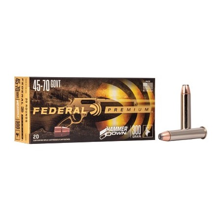 FED HMR DWN 45-70GVT 300GR SP 20/200