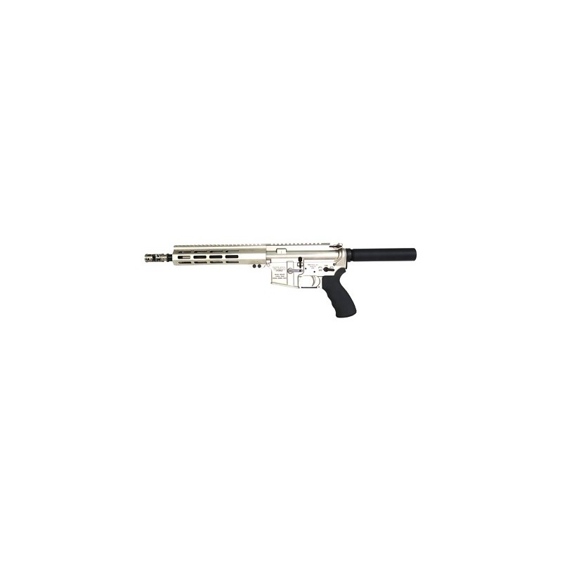 WMD MICRO BEAST FRGD 556 5" 10RD DIS WMD MICRO BEAST FRGD 556 5" 10RD DIS