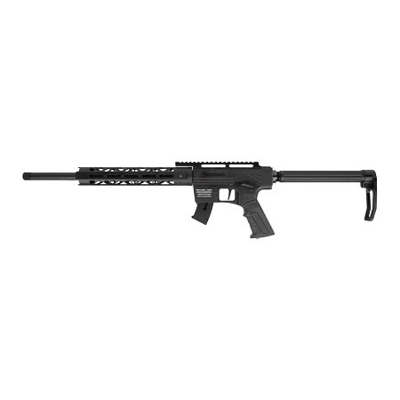 RIA IMPORTS TM22 22LR 10RD 20" BLK